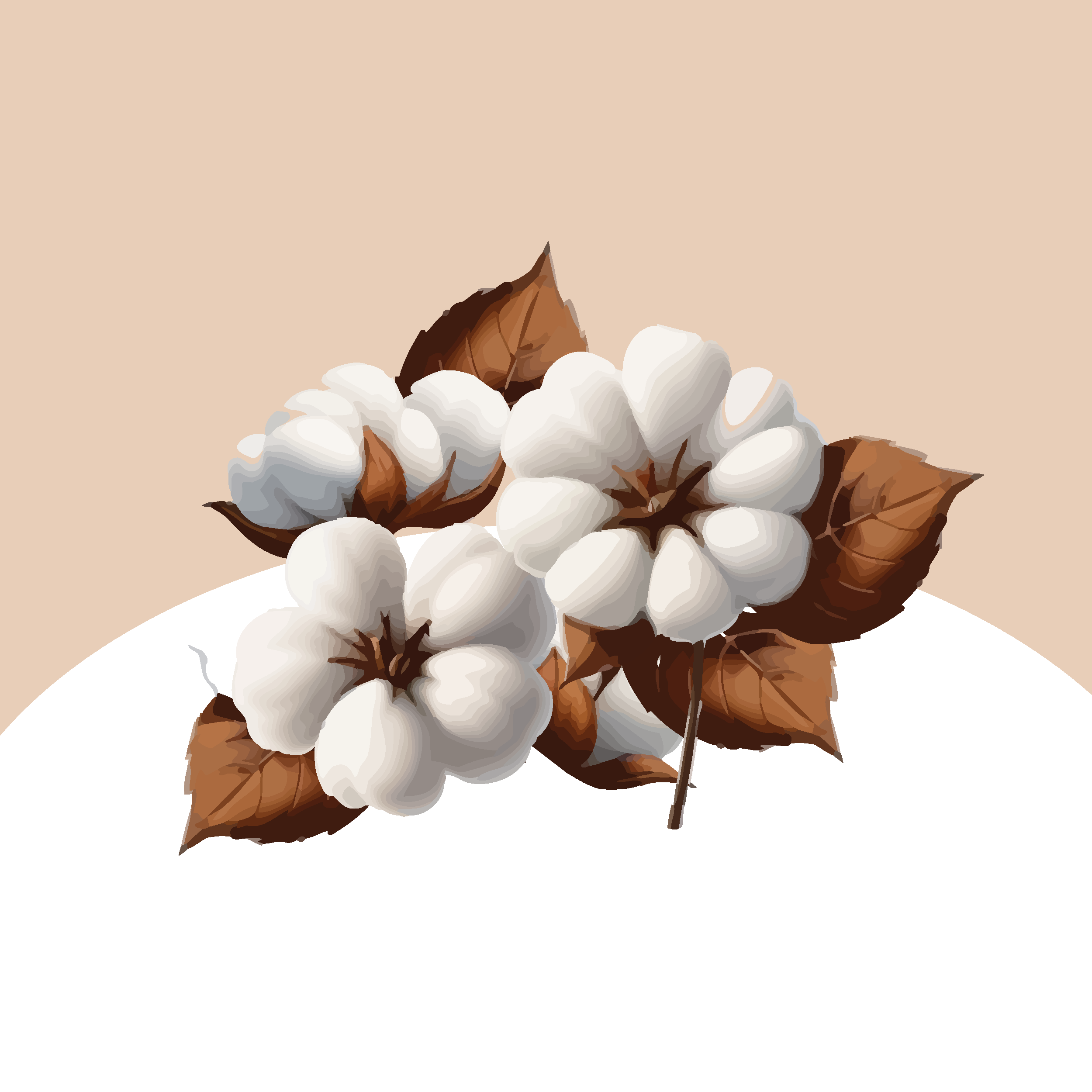 Imagen de variedades