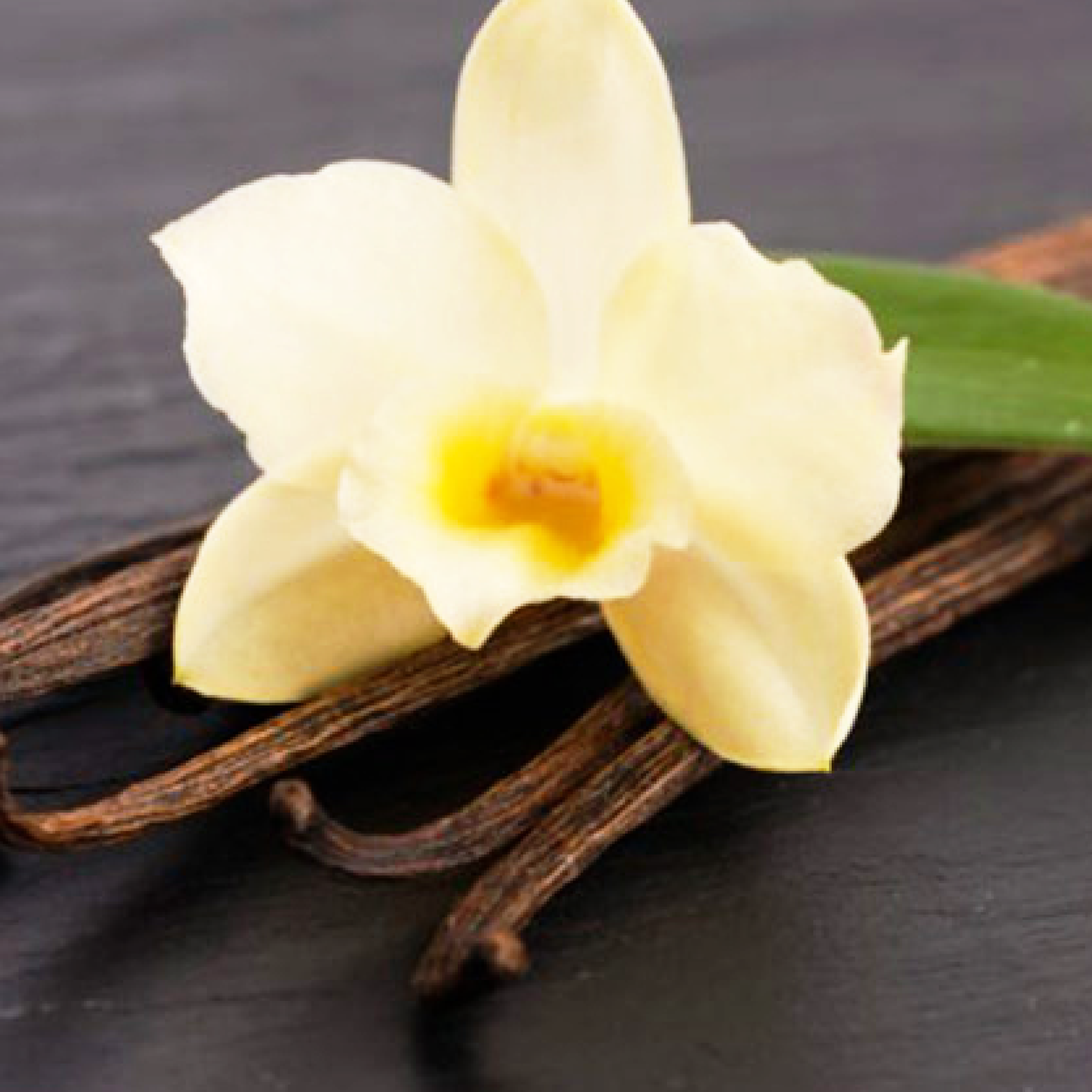 Imagen de variedades